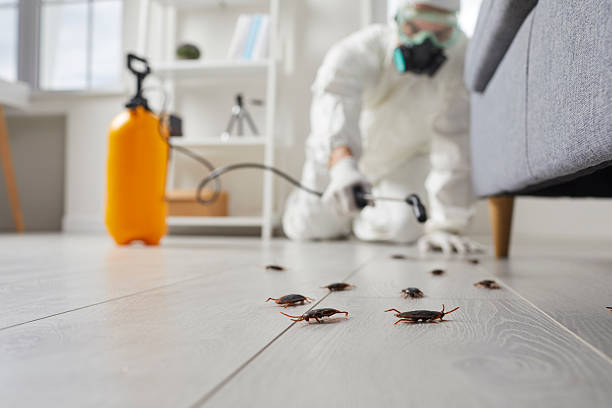 Trusted Cockroach Control service in Cumings, TX - Nex Pest Control